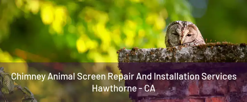 Chimney Animal Screen Repair And Installation Services Hawthorne - CA